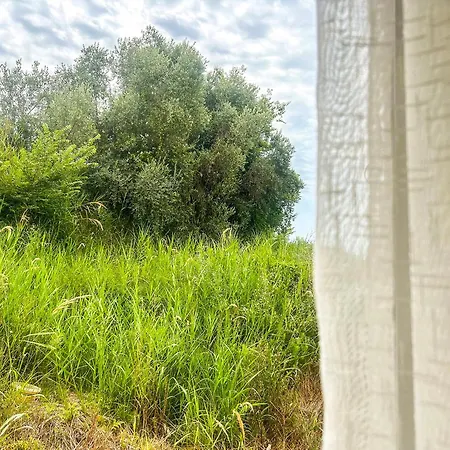 1 Bedroom 1150 * Durrës